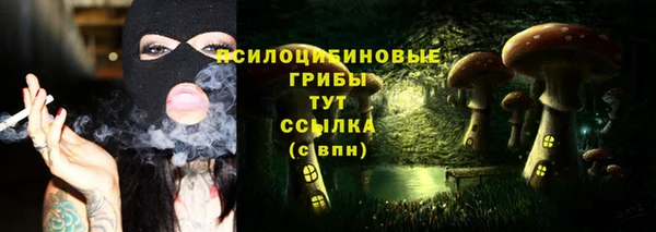 ешки Алексеевка