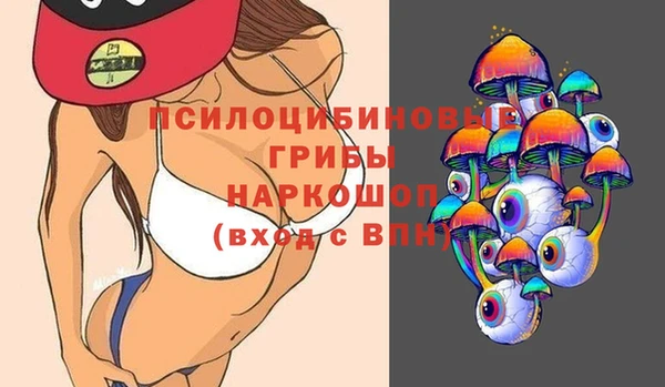 ешки Алексеевка