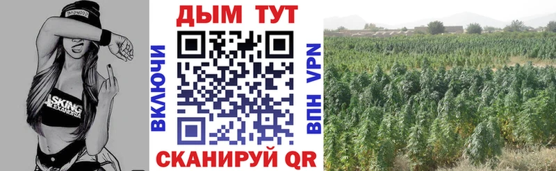 Конопля Ganja  Андреаполь 